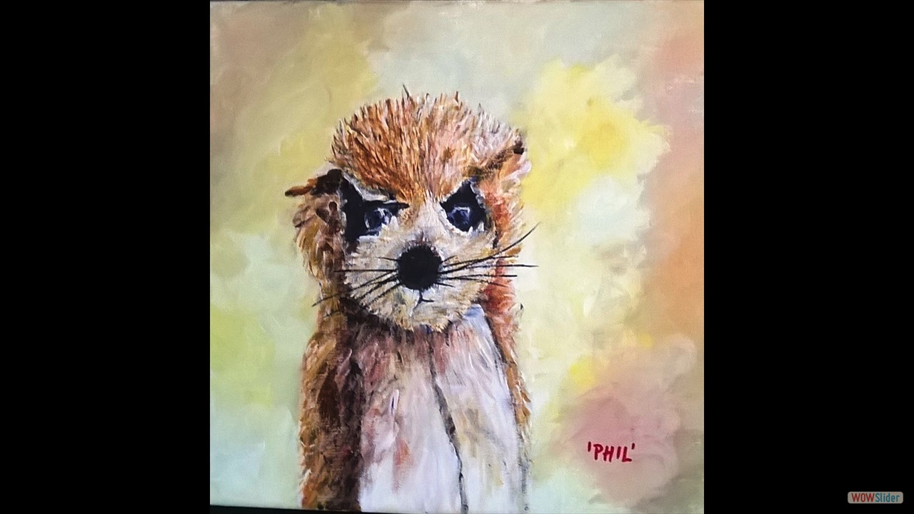 WP_20150728_13_27_15_Pro